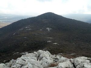 MEJA-LJUBIBELJ-SVIB-MEJA