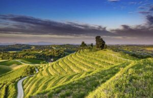 VINCEKOVO U ŠTRIGOVI